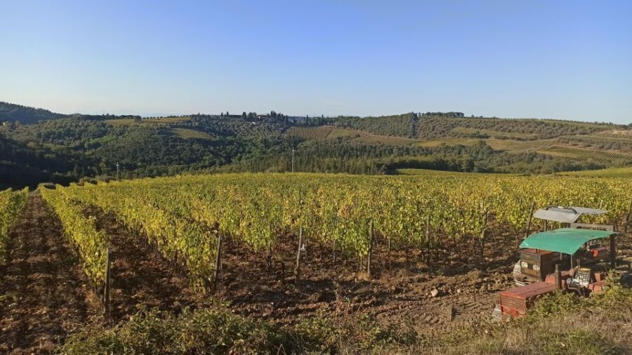 Visit Siena and San Gimignano with lunch at a family farm - Should you book? My practical take
