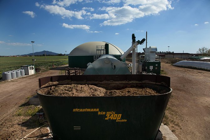 Visit to the Bufale and Dairy farm with cheese tasting - Biogas plant stop: farm tech that shows up on a guided route