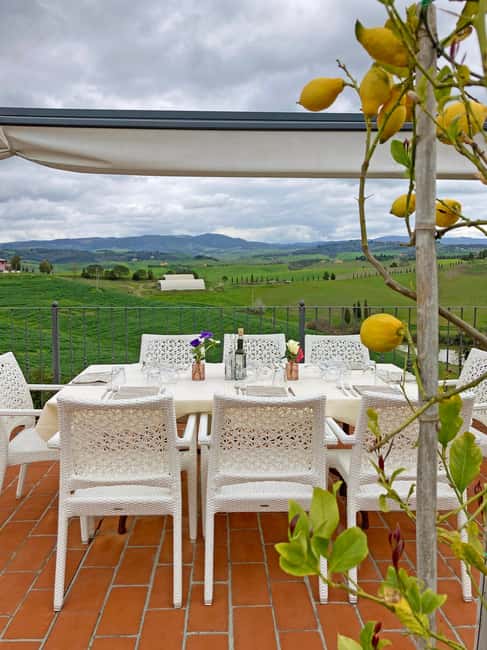 Volterra: Private Picnic in the Tuscan Countryside - Lemon Grove Welcome at Diacceroni Organic Farm