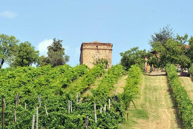 Wine experience Bologna hills - Key highlights worth penciling in