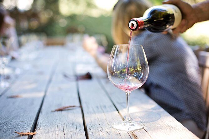 Wine experience Bologna hills - Winery stop one: where passion shows up (and Lambrusco matters)