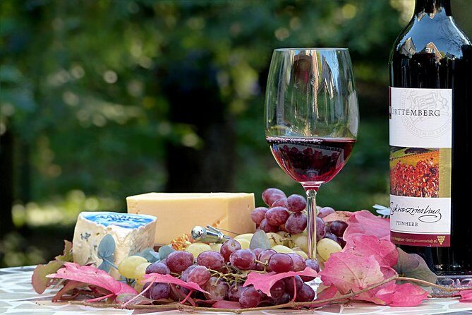 Wine experience Bologna hills - The tastings: wine paired with food, not just tasting glassware