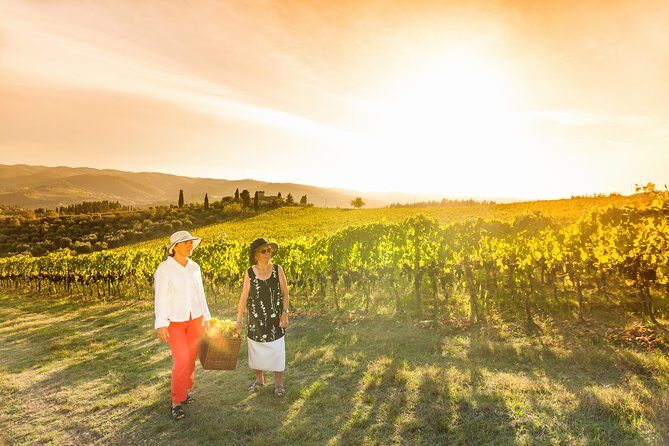 Wine experience Bologna hills - How the day flows in about 6 hours