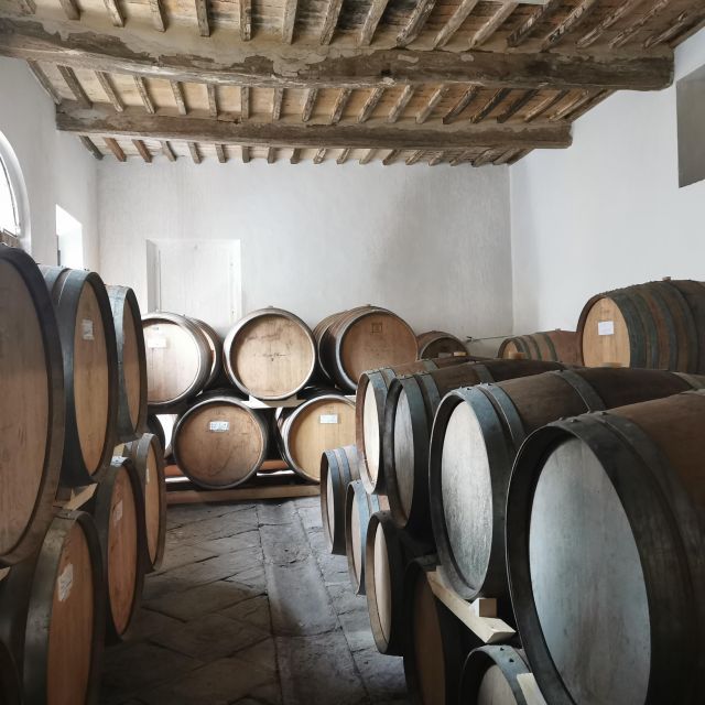 Wine Experience in an Organic Chianti Winery - Food pairing that actually helps: classic Tuscan bites with smart wine matches