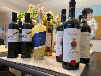 Wine Experience in an Organic Chianti Winery - The 1.5-hour sommelier tasting: Chianti and Super Tuscan, seated and paced