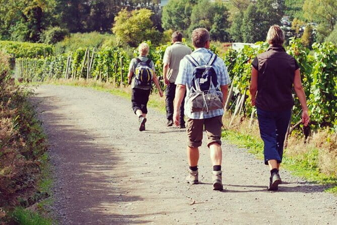 Wine Hiking Sip & Trek - A Small-Group Hike With Real Tuscan Stops