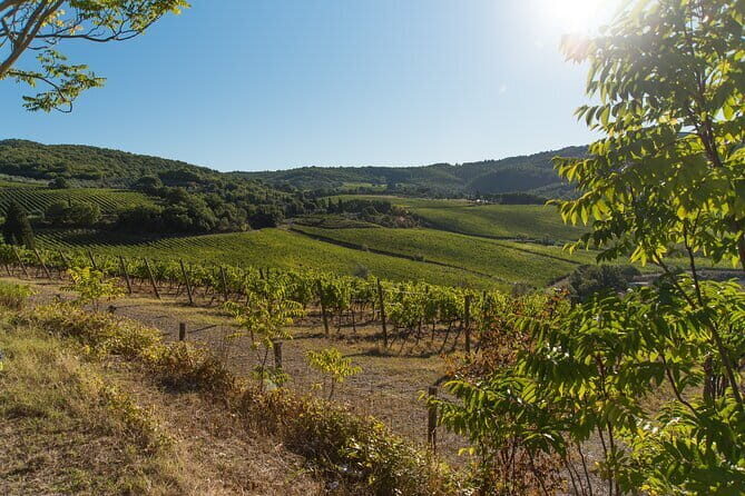 Wine Hiking Sip & Trek - Key Highlights You’ll Feel in Your Feet