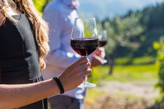 Wine Hiking Sip & Trek - The 7-Hour Hike: What the Day Really Feels Like