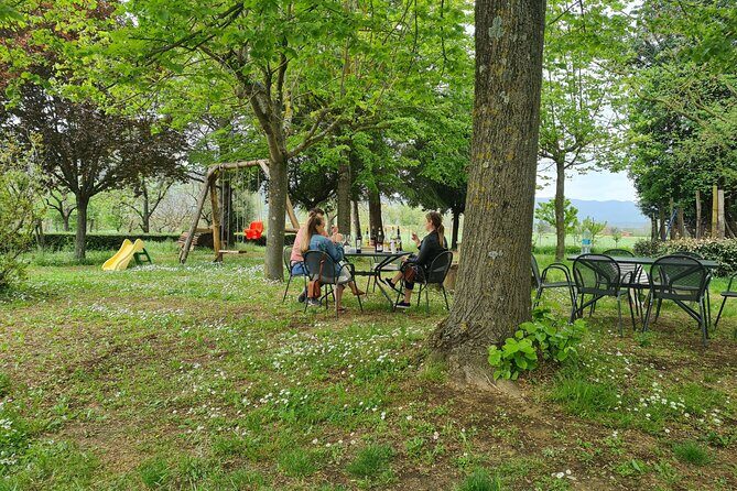Wine & Oil Tasting Experience - Food tasting that stays local and pairs naturally