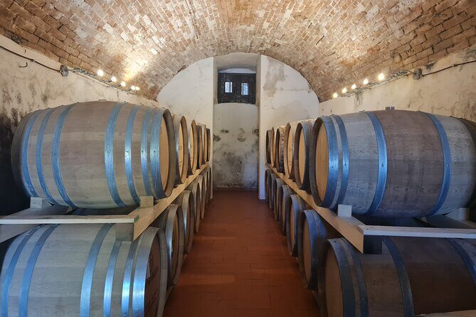 Wine & Oil Tasting Experience - Meeting point, pickup limits, and keeping your timing sane