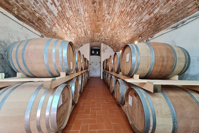 Wine & Oil Tasting Experience - Six wines: Vin Santo, rosé, a white, and three reds