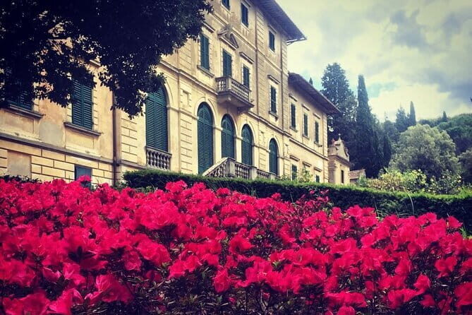 Wine Tasting Activity at Chianti Rufina - Chianti Rufina in One Hour: The Big Picture