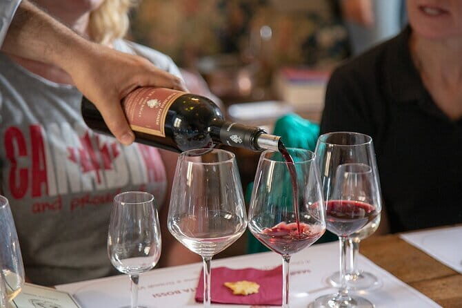 Wine Tasting Activity at Chianti Rufina - Meeting Point in Pontassieve: Planning Your Arrival Fast