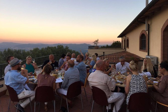 Wine tasting and guided tour of the cellar - Key highlights