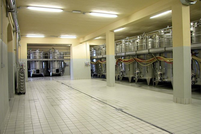 Wine tasting and guided tour of the cellar - Timing and pacing tips to make the most of your visit