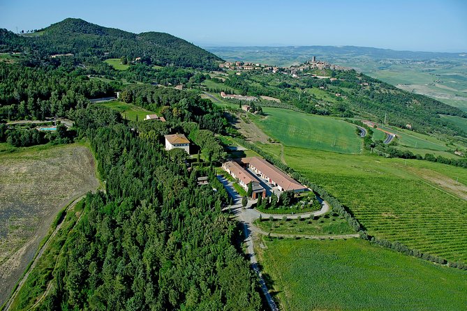 Wine tasting and guided tour of the cellar - Who this fits best (and who might want something else)