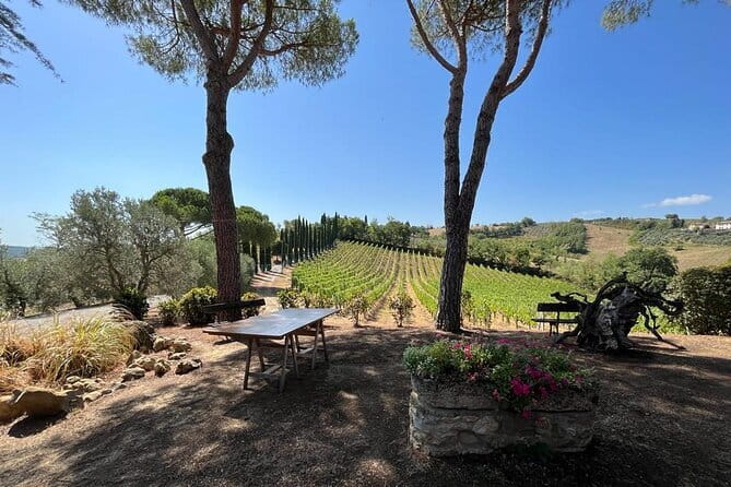 Wine Tasting and History Guided Day Tour in Chianti - Rolling Out of Florence Toward Chianti’s Vineyard Geometry