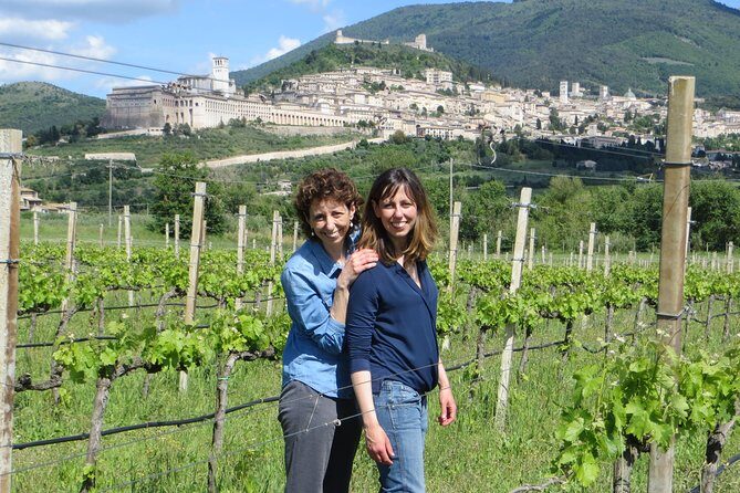 Wine tasting and walk in the Vineyard of Assisi - What You’ll Taste: Wines, Olive Oil, and Hand-Made Local Bites