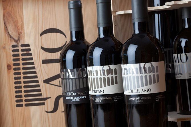 Wine tasting and walk in the Vineyard of Assisi - Timing, Group Size, and When 1.5 Hours Can Turn Into More