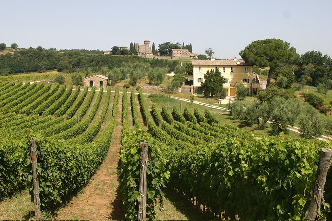 Wine Tasting and Winery tour - Key highlights you’ll feel in person