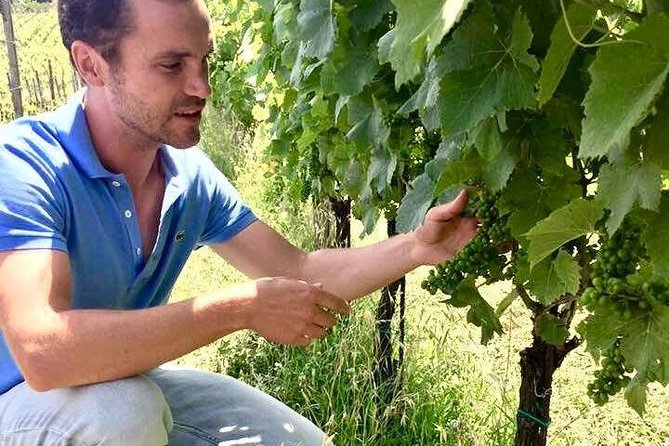 Wine Tasting and Winery tour - Arriving at Madonna del Latte: what “near Orvieto” really means