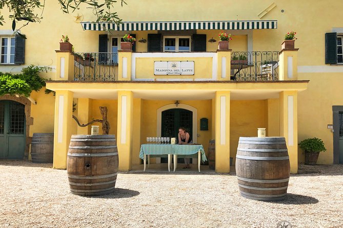 Wine Tasting and Winery tour - The tuff-stone barrel cellar: Etruscan history you can walk into