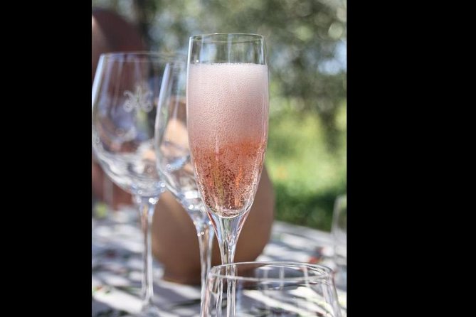 Wine Tasting and Winery tour - How long it takes, and why pacing matters