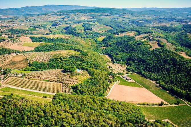 Wine Tasting by CarusVini in San Casciano in val di Pesa - Carus Vini in San Casciano: what kind of wine tasting is this?