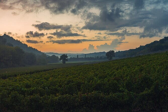 Wine Tasting by CarusVini in San Casciano in val di Pesa - Your hour plan: winery walk, barrel cellar, then tasting