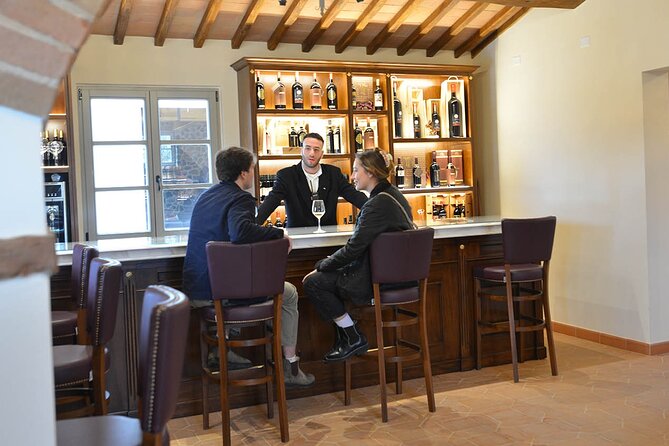 Wine Tasting in Historic Open-Lounge room - Olive oils and vinegars: the extra layer you should not skip