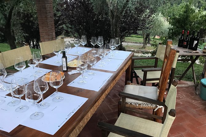 Wine tasting in Lucca "at home" with expert sommelier - 5 wines - The Territory Story: How Lucca and Tuscany Connect to the Bottle