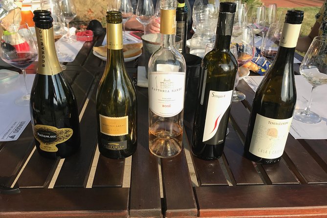 Wine tasting in Lucca "at home" with expert sommelier - 5 wines - Price and Value in Lucca: What $72.01 Really Buys
