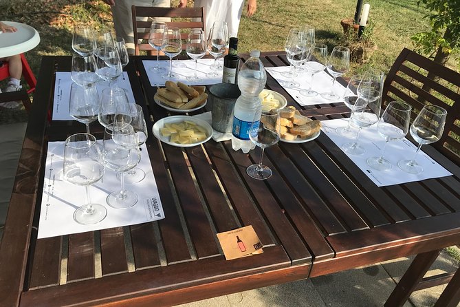Wine tasting in Lucca "at home" with expert sommelier - 5 wines - When This Works Best (and When It Might Not)