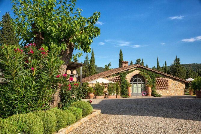 Wine tasting in the historical Cantalici winery - The Pace: How You Fit It into a Day in the Lucca Area