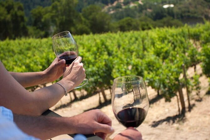 Wine tasting in TWO family wineries around Florence - Key points you’ll care about