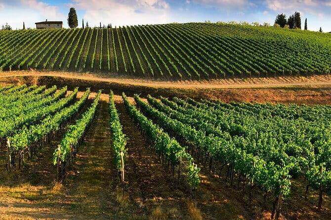 Wine tasting in TWO family wineries around Florence - Stop 2: San Donato in Poggio villa gardens and another Chianti pairing