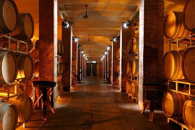Wine Tour Experience - Historical cellar + vinsantaia: why these two stops are the point