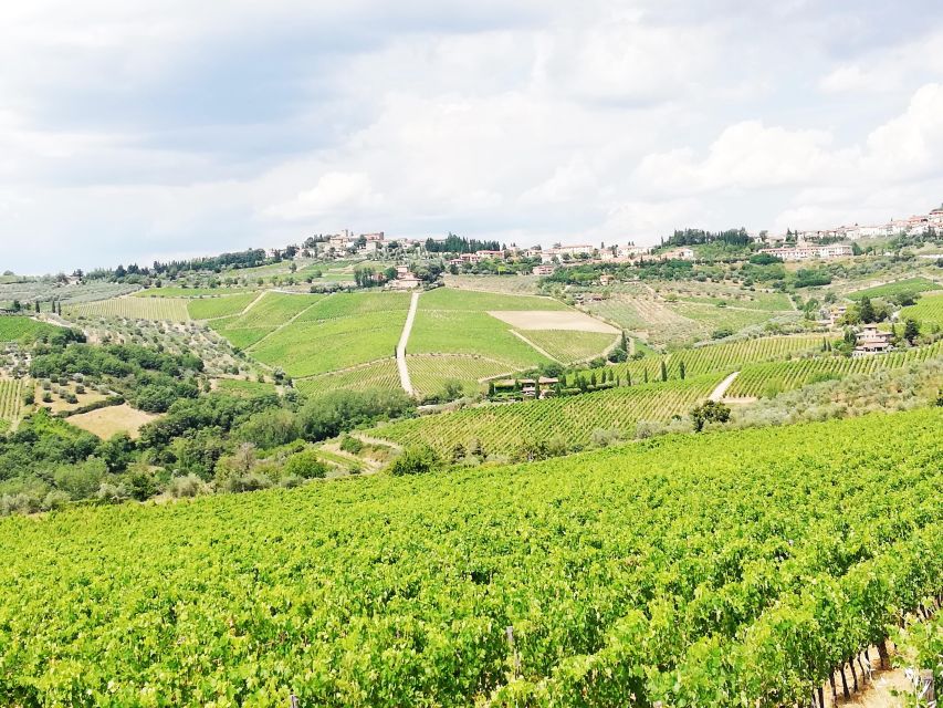 Wine Tour in Open Top Van - Poggio Amorelli winery tasting: your first taste of Chianti