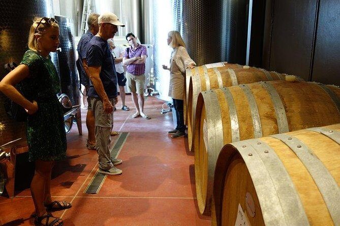 Wine Tour with Lunch and Wine Tasting - The 2.5-hour flow: vineyard walk, cellar visit, and wine rules that click