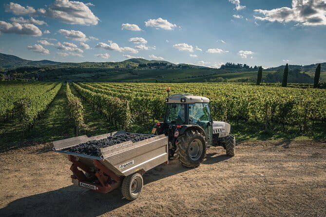 Wineries Tour and Wine Tastings in Chianti Hills from Florence - Florence to the Chianti Road: First Tastings on Strada Chiantigiana