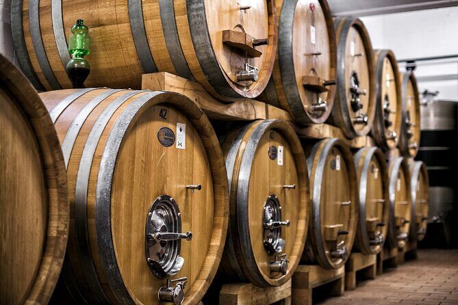 Winery Tour and Private Tasting in Montefalco - Olive oil bruschetta: a pairing you can actually use later