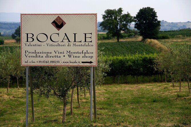 Winery Tour and Private Tasting in Montefalco - Where you meet near Madonna della Stella (and why it matters)