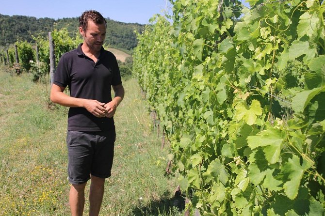 Winery tour and wine, cheese & charcuterie tasting - Why Madonna del Latte near Orvieto is worth the trip