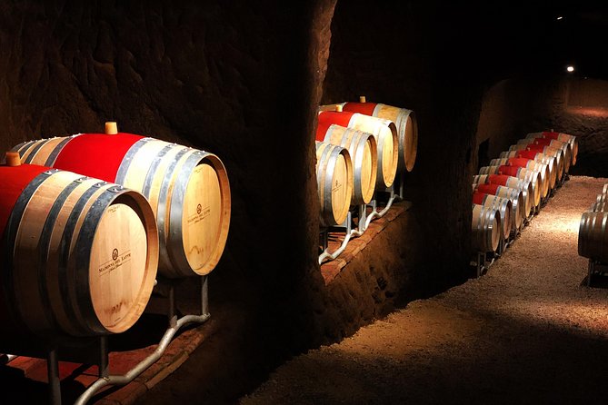 Winery tour and wine, cheese & charcuterie tasting - Vineyard walk: what you learn while the views do their job
