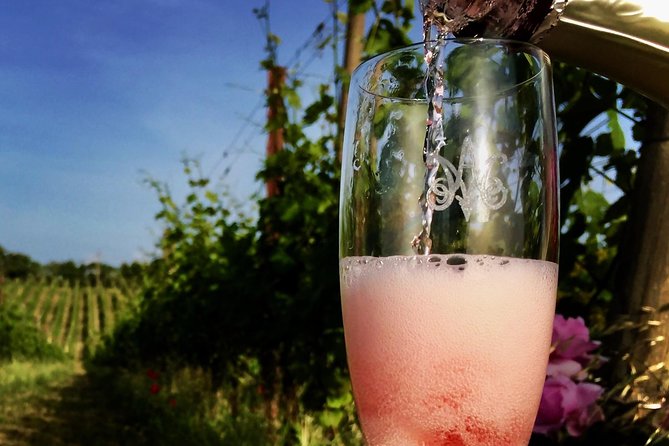 Winery tour and wine, cheese & charcuterie tasting - Hospitality and storytelling: Leon and Anna set the tone