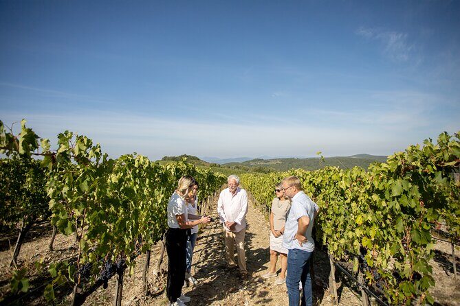 Winery Tour & Gourmet Tasting in Montalcino - Val d’Orcia Views: Why the Stop Matters