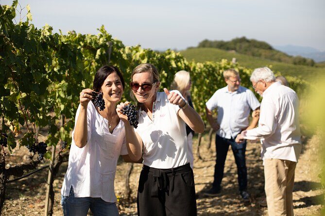 Winery Tour & Gourmet Tasting in Montalcino - Two Tasting Options: Choose Based on How You Like to Experience Wine