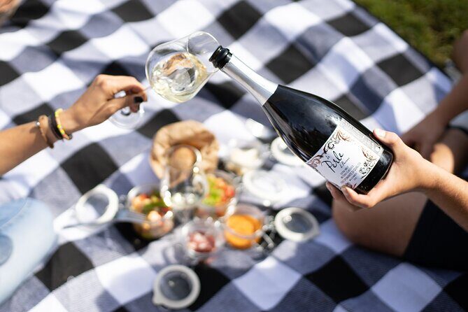 Winery Tour & picnic in the vineyard with a bottle of wine - The vineyard walk: terroir talk on the Brunello Cru path