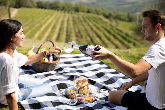 Winery Tour & picnic in the vineyard with a bottle of wine - Price and value: what $47.32 gets you in real terms