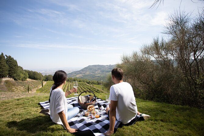 Winery Tour & picnic in the vineyard with a bottle of wine - Vaulted cellar optional stop: where aging happens